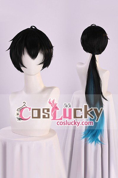 Honkai Star Rail Dan Heng Permansor Cosplay Wig