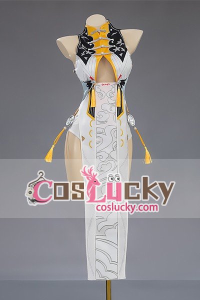 Zenless Zone Zero Ye Shunguang Style Cosplay