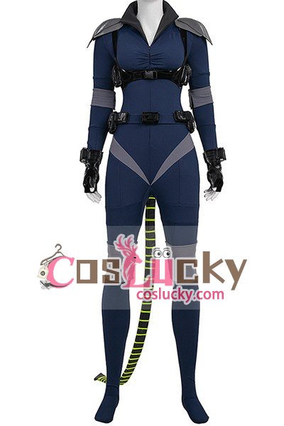 The Batman Catwoman Selina Kyle Suit Cosplay